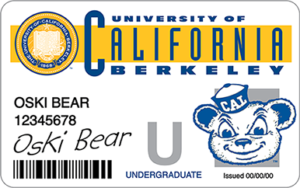 Oski Bear's Cal 1 Card